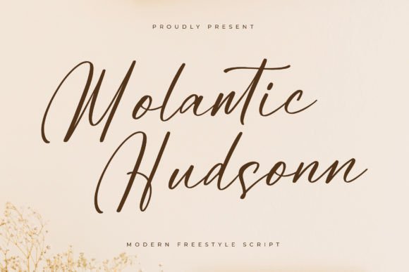 A Modern Web Designer's Review of the Molantic Hudsonn Script Font