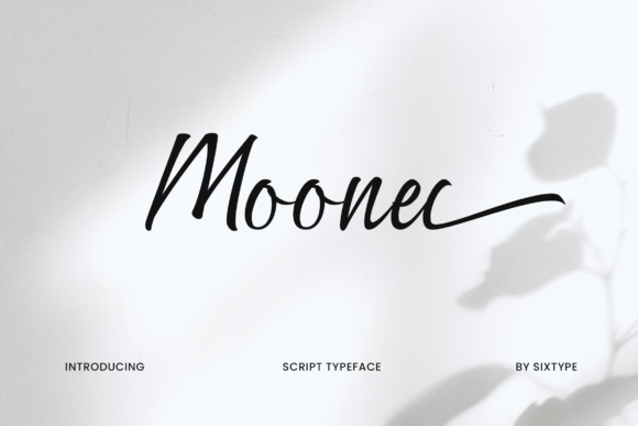 Moonel Font: Elegant Typography for Digital Design